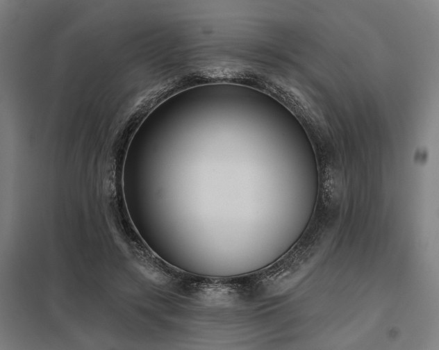 X0000098050547200803281457