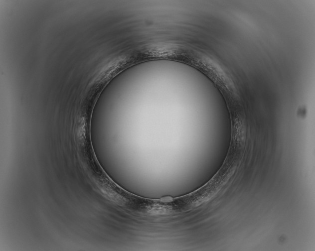 X0000098050549200803281457