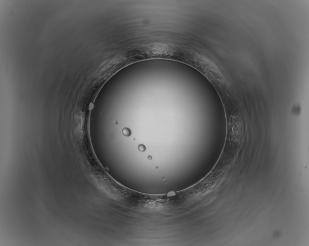 X0000098050550200803281457