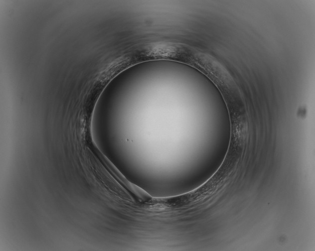 X0000098050551200803281457