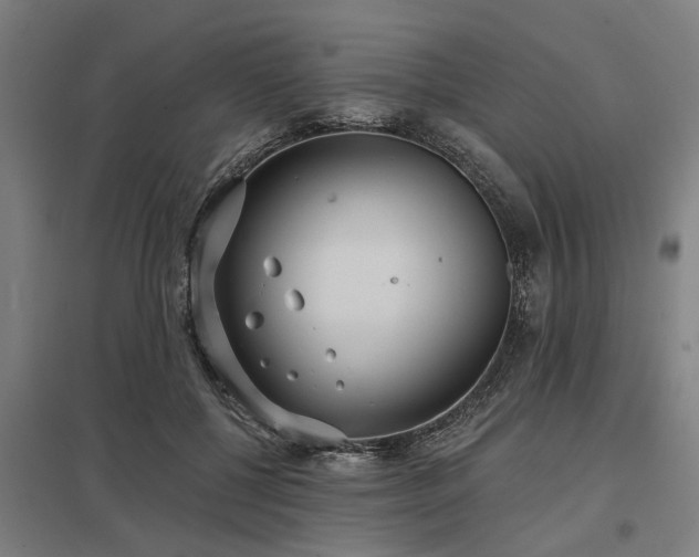 X0000098050552200803281457