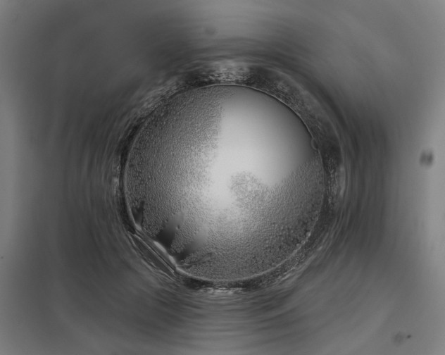 X0000098050553200803281457