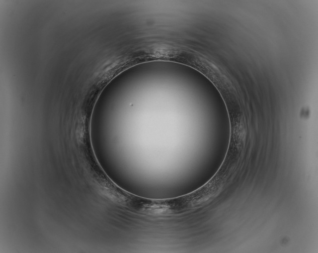 X0000098050554200803281457