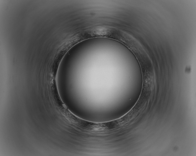 X0000098050555200803281457