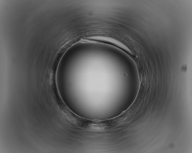 X0000098050556200803281457