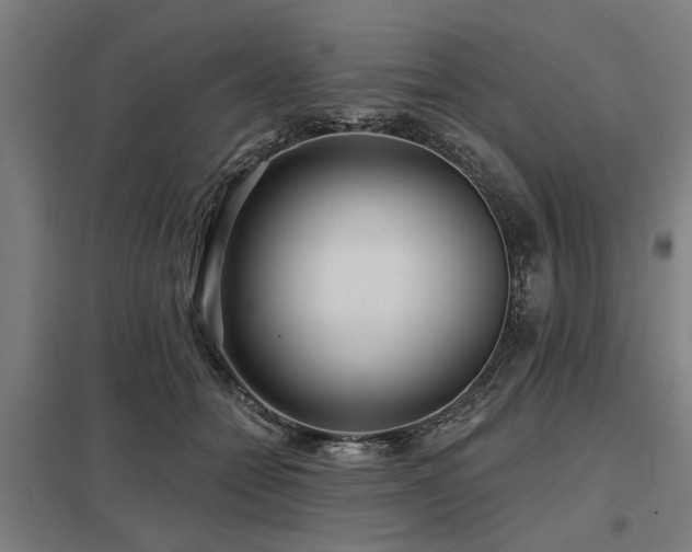 X0000098050558200803281457