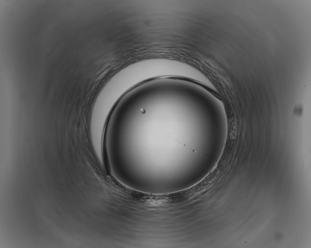 X0000098050560200803281457