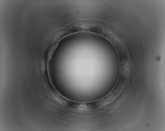 X0000098050562200803281457