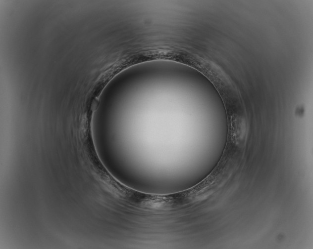 X0000098050563200803281457