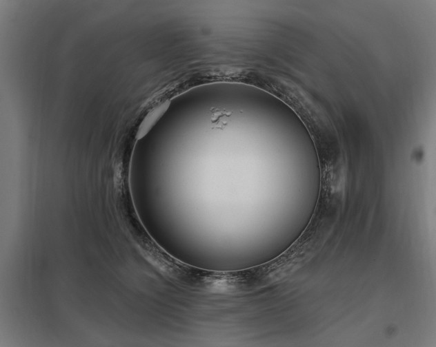 X0000098050564200803281457