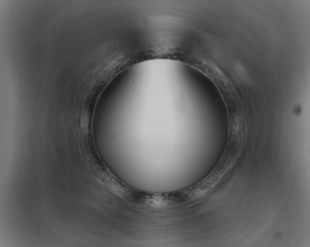 X0000098050565200803281457