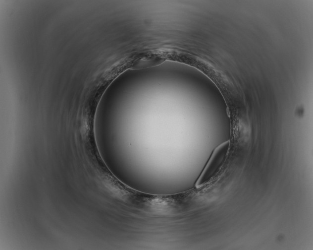 X0000098050566200803281457