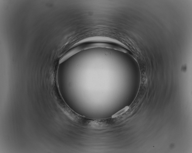 X0000098050568200803281457