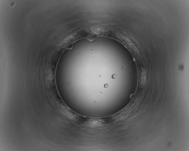 X0000098050569200803281457