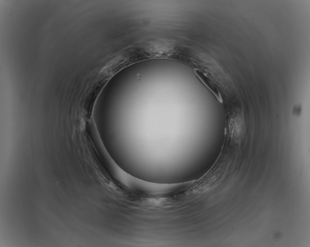 X0000098050570200803281457