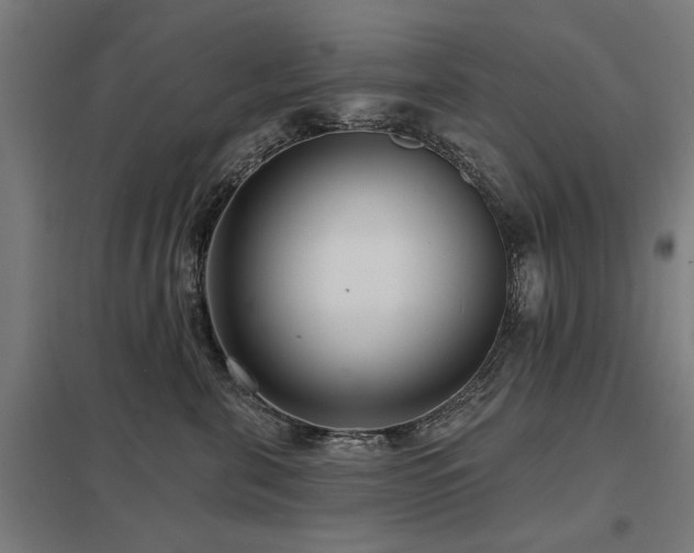 X0000098050571200803281458