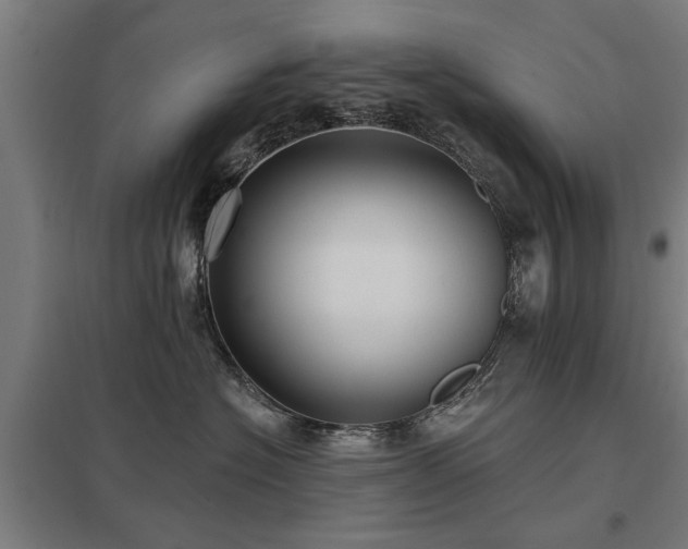 X0000098050574200803281458