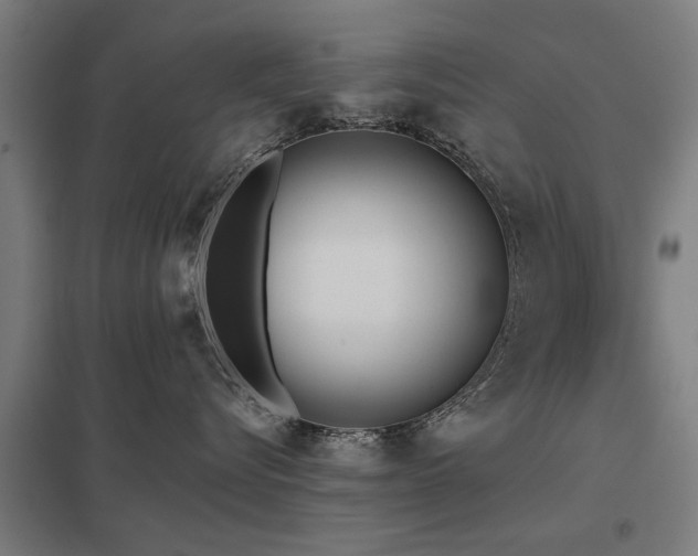 X0000098050576200803281458