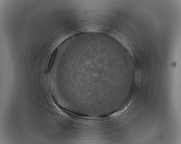 X0000098050577200803281457