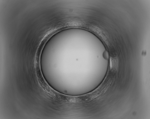 X0000098050579200803281457