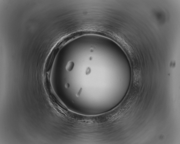 X0000098050580200803281457