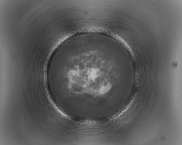 X0000098050581200803281457