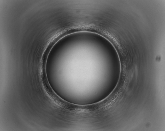 X0000098050582200803281457