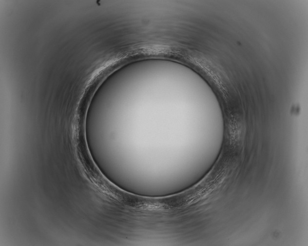 X0000098050583200803281457