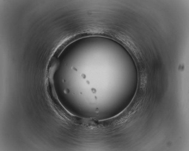 X0000098050584200803281457