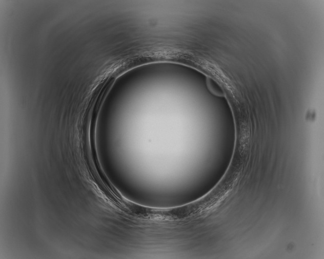 X0000098050585200803281457