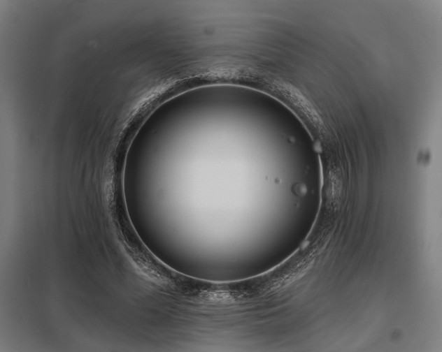 X0000098050588200803281457