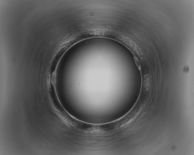 X0000098050589200803281457