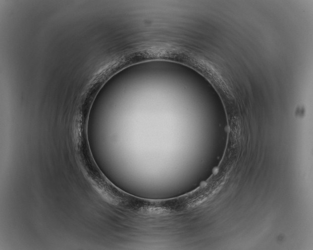 X0000098050590200803281457