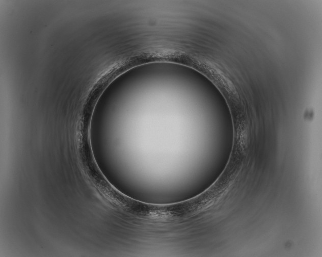 X0000098050591200803281457