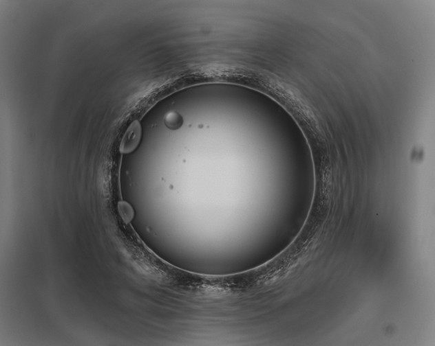 X0000098050592200803281457