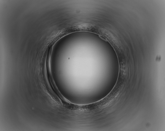 X0000098050593200803281457