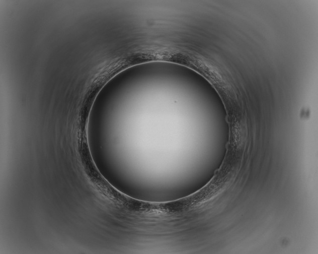 X0000098050594200803281457