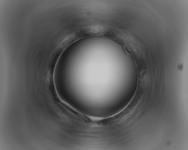 X0000098050597200803281457