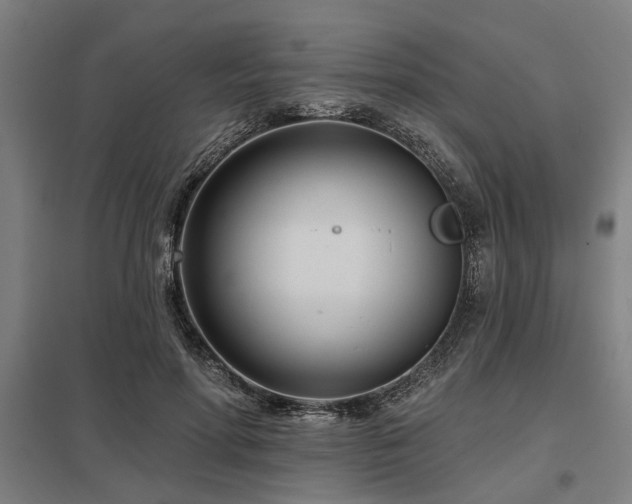 X0000098050598200803281457