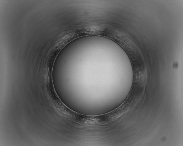 X0000098050599200803281457