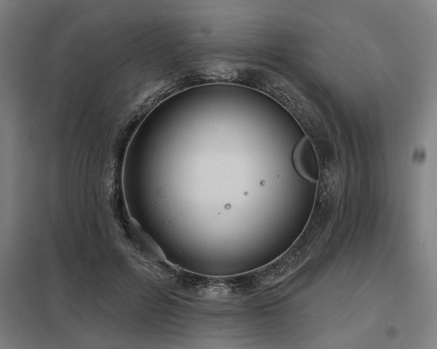 X0000098050600200803281457