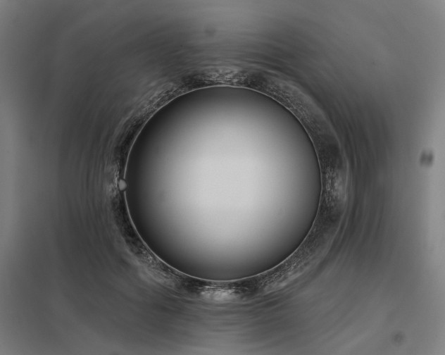 X0000098050602200803281457