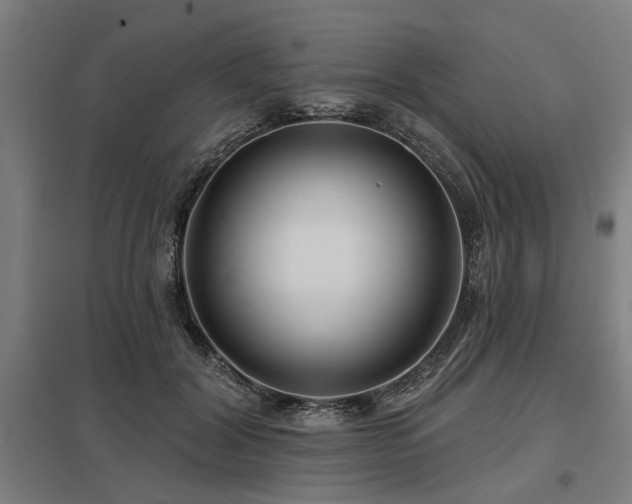 X0000098050604200803281457