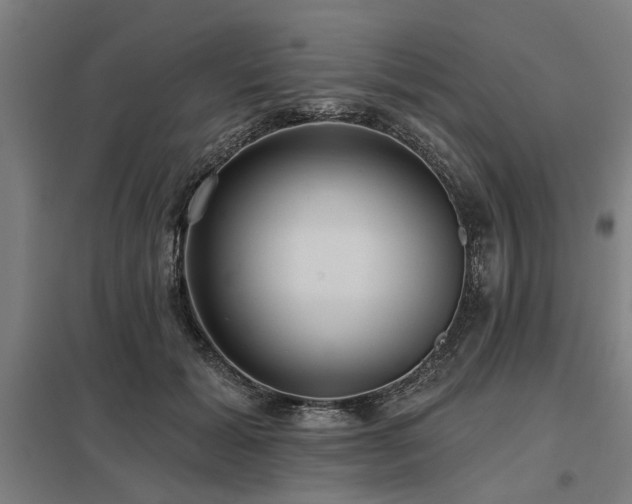 X0000098050605200803281457