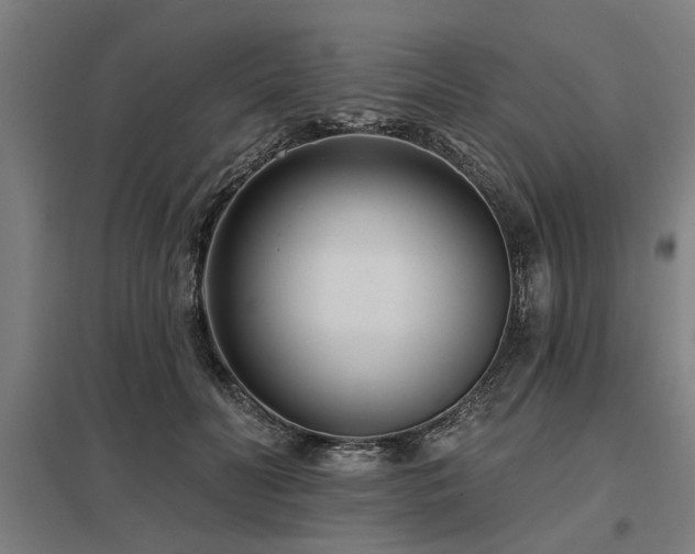 X0000098050606200803281457