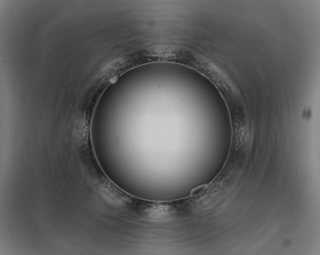 X0000098050609200803281456