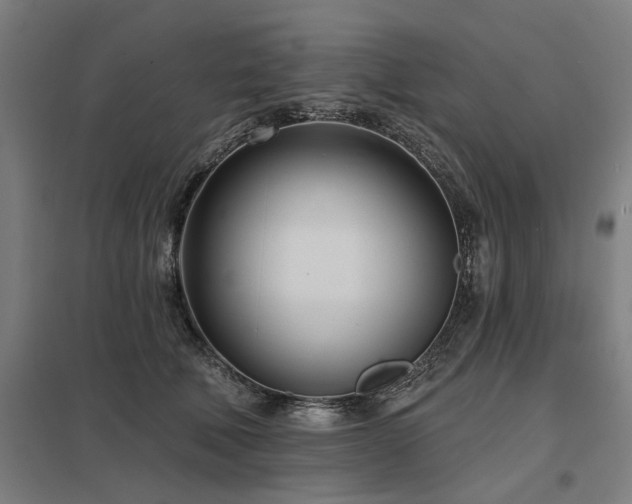 X0000098050610200803281456