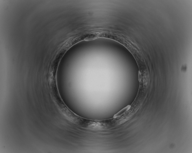 X0000098050611200803281456