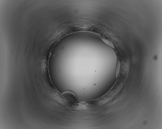 X0000098050612200803281456