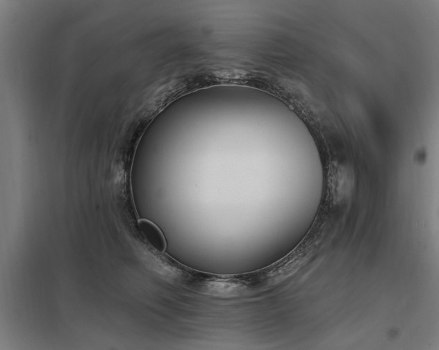 X0000098050614200803281456